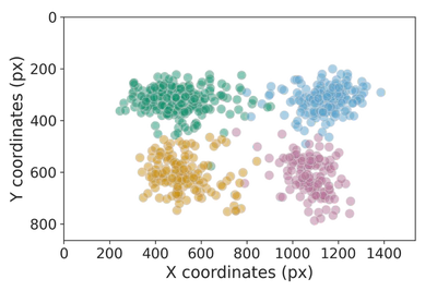 Gaze distribution