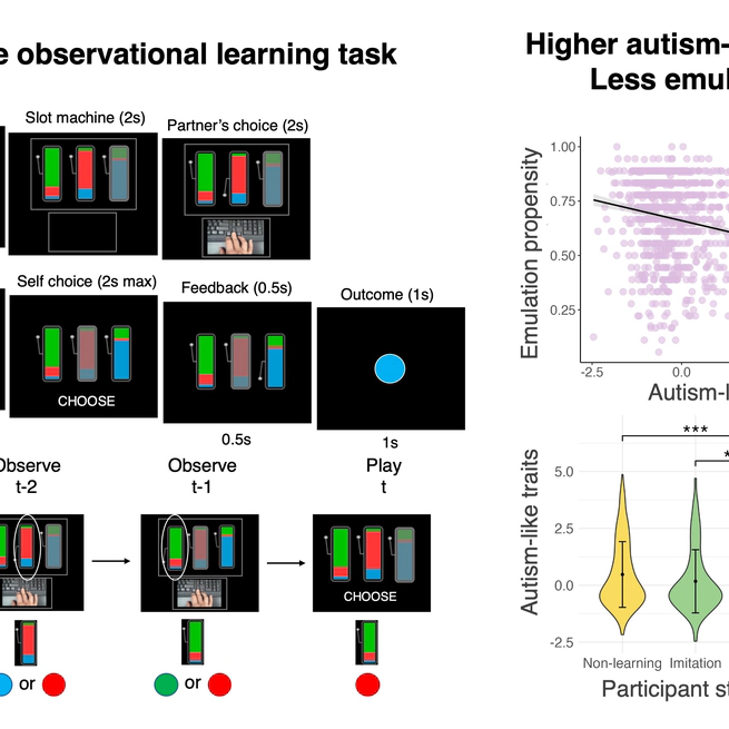Emulation and Imitation during Observational Learning