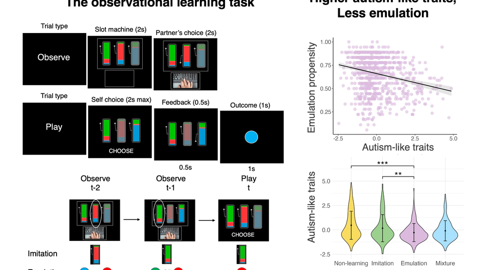 Emulation and Imitation during Observational Learning
