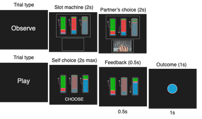 The observational learning task