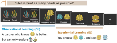social pearl hunting task
