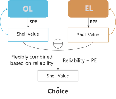 Computational framework