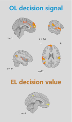 OL and EL value
